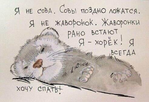 Утро туманное