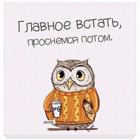 Утро туманное